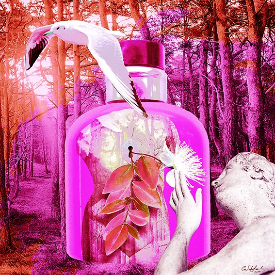 Carmen Wakeford - Flight of Fantasy